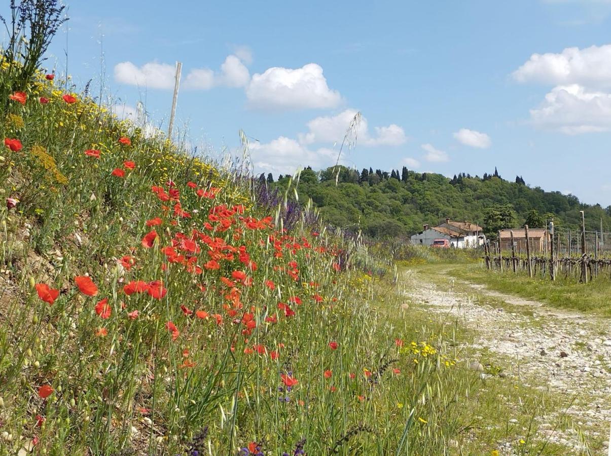 Ripassoqui Hotel Custoza Kültér fotó